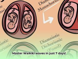Master Twin Fin Waikiki Surf Lessons: Ride Waves in 7 Days