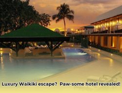Luxury Waikiki Getaway: Hotel La Croix Pet-Friendly Review