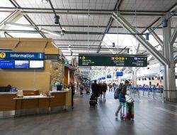 Airport to Waikiki Transportation All Your Best Options